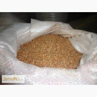 Гречневая крупа ядрица (ГОСТ Р 55290-2012) высший сорт оптом со склада