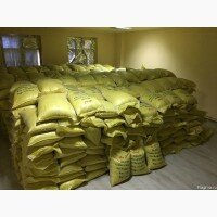 Продам Фасоль, сорт «Белая Лопатка» калибр 8