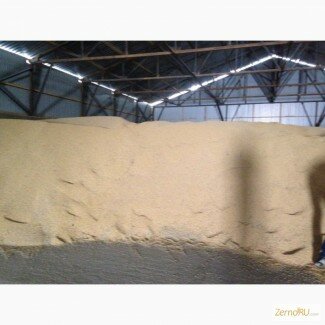 Продам сою 1000 тонн