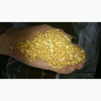Продам Нут половинки, шлифованный