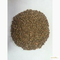 Продам чечевицу красную