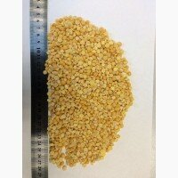 Продам Горох колотый Экспорт
