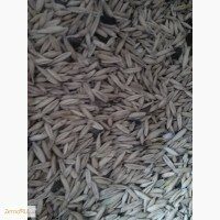 Продам овес