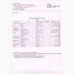Продам: Семена гречихи Девятка и Дикуль