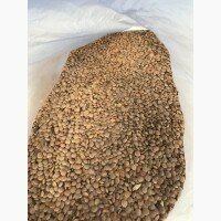 Продаём чечевицу красную