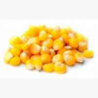 Дорого! Купим кукурузу