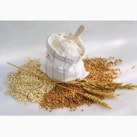 Продаем муку собственного производства В/С.1С (ГОСТ) и (ТУ)