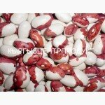 Продаем фасоль белую и красную 7 видов от Кыргызцентрпродукт
