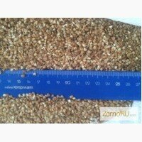 Гречневый продел (оптом)