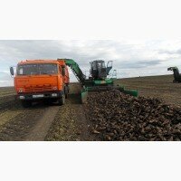 Требуется грузовой транспорт для перевозки сельскохозяйственной продукции