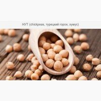 Продам НУТ (Checkpeas, турецкий горох, хумус)