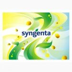 Семена гибридов подсолнечника НК Роки, НК Конди, НК Брио, Савинка от Syngenta