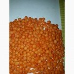 Продам чечевицу красную шелушеную